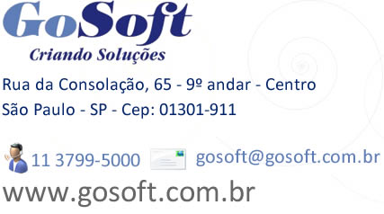 Gosoft Informática